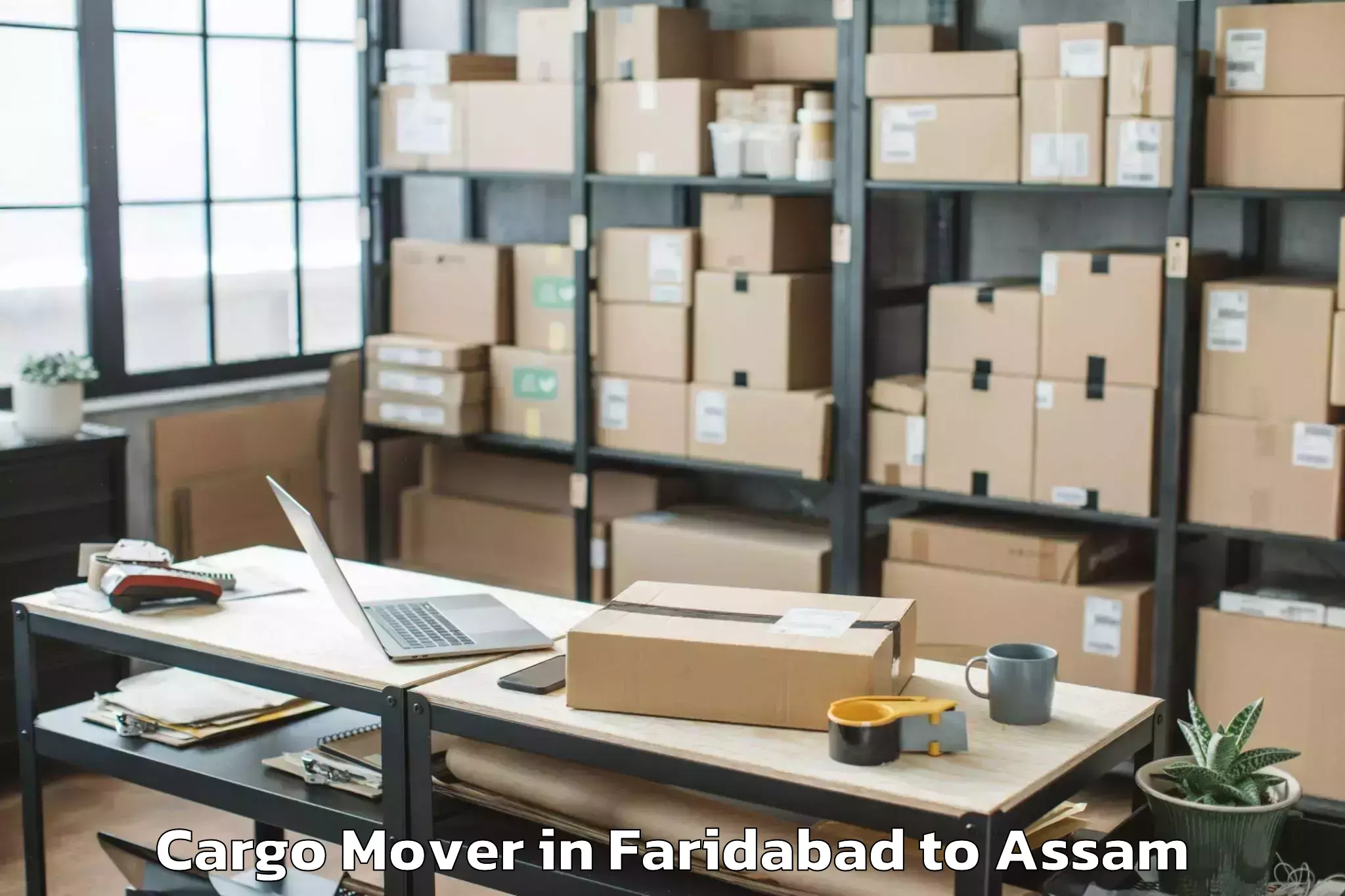 Leading Faridabad to Nagaon Cargo Mover Provider